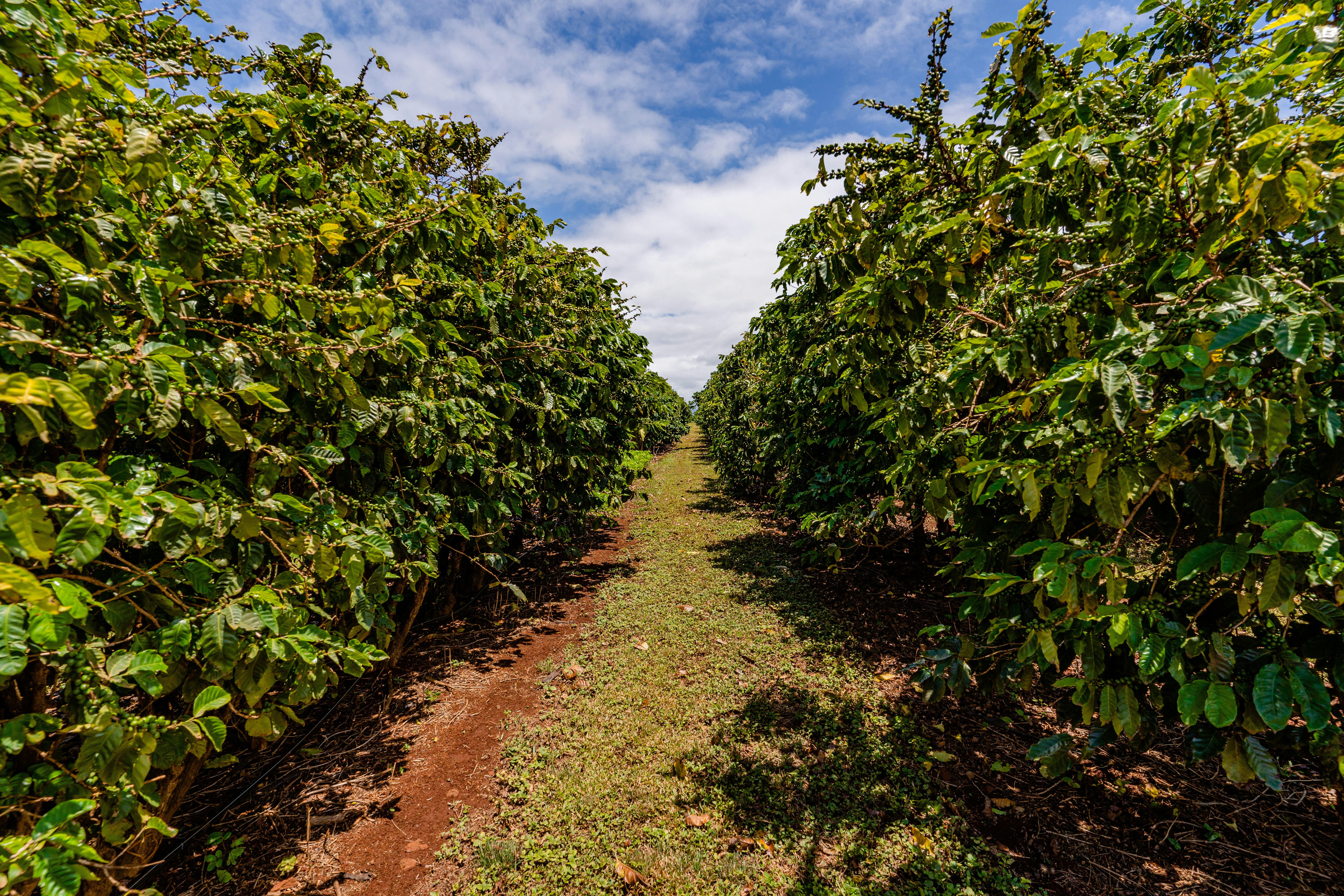 Farming